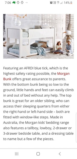 domayne morgan bunk bed